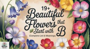 19+ Beautiful Flowers That Start with B (Complete List & Meanings)