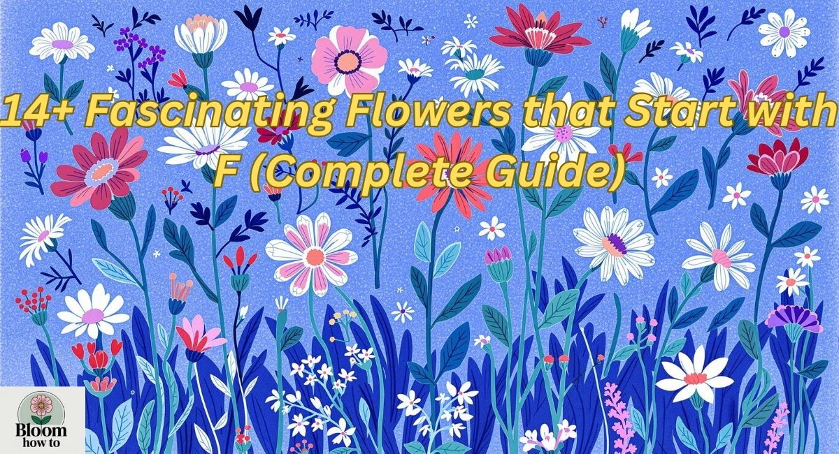 14+ Fascinating Flowers that Start with F (Complete Guide)