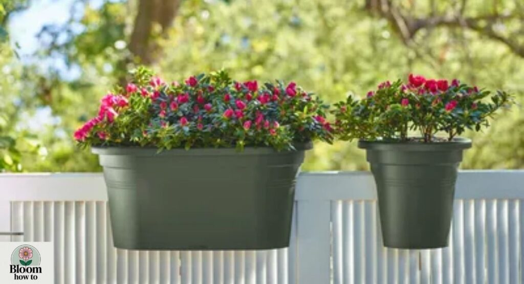 Balcony Plant Containers