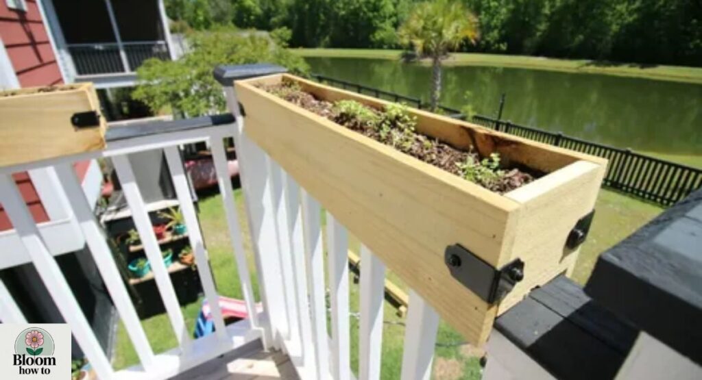 Deck Rail Plants