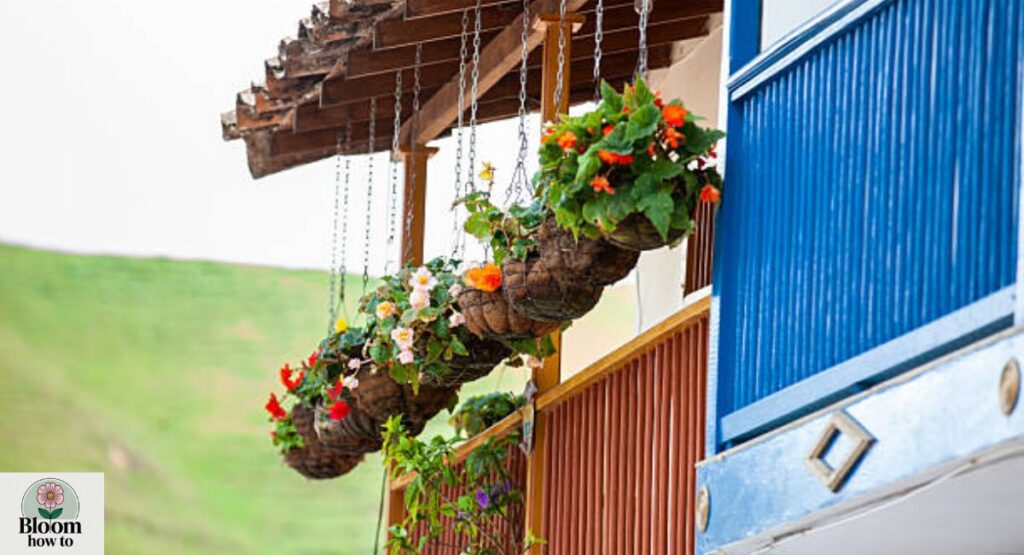 Hanging Balcony Planters