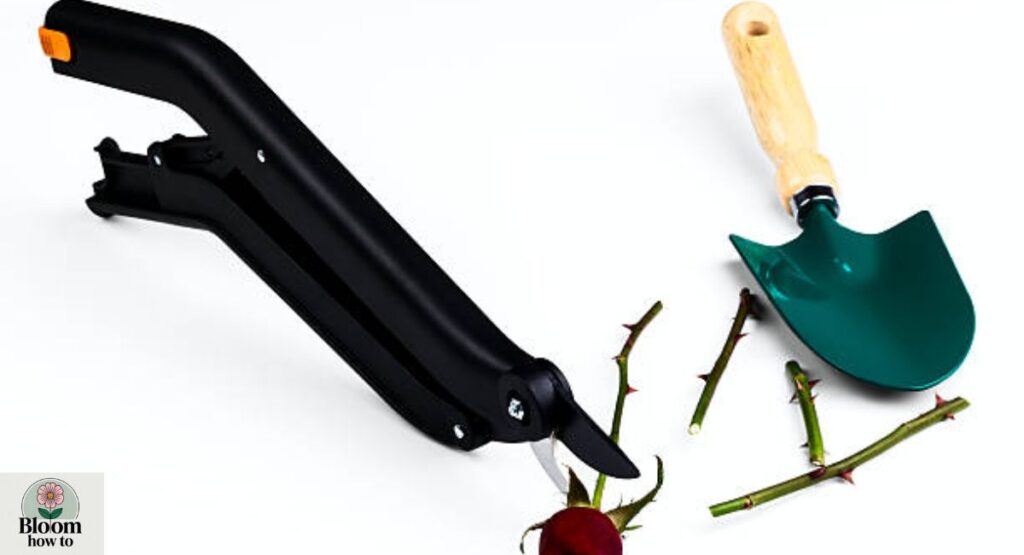 Ignoring tool hygiene  