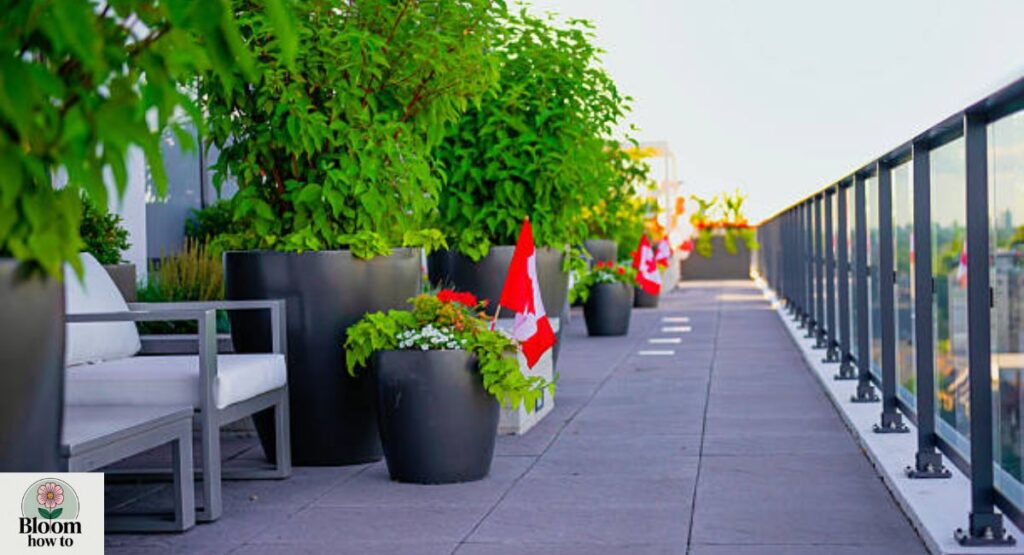 Large Balcony Planters