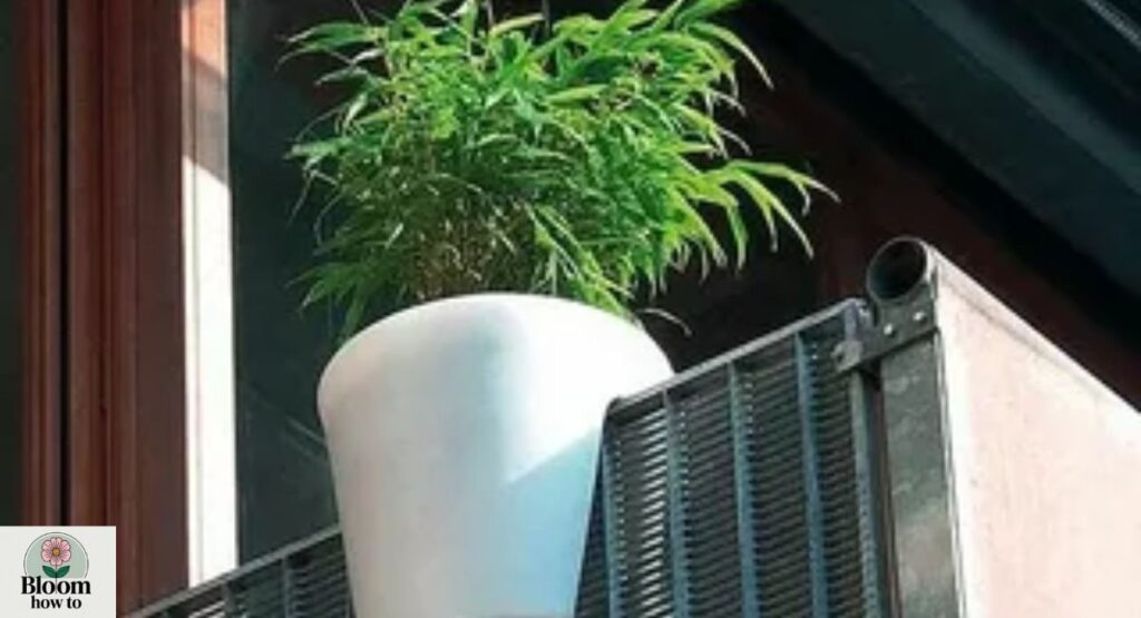  Over the Banister Planters