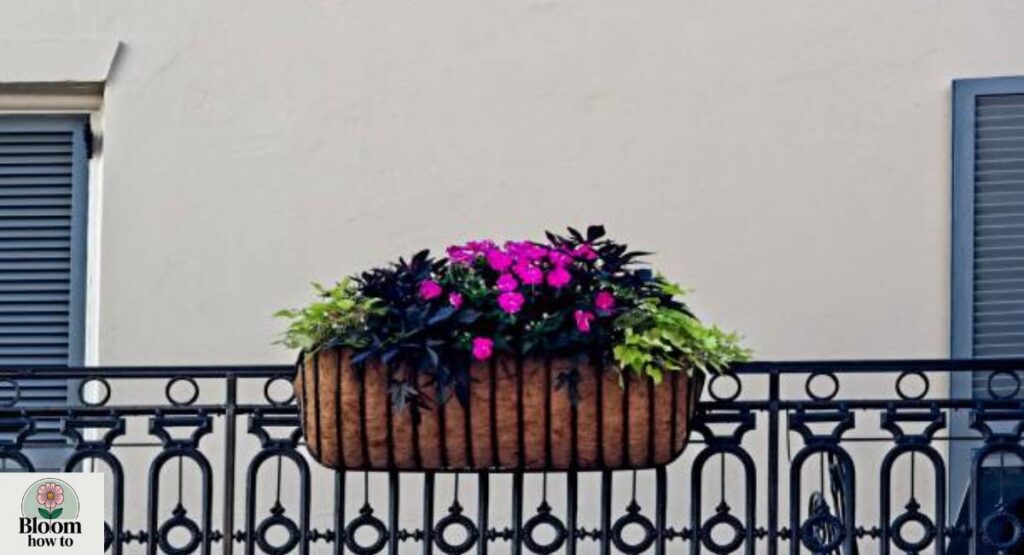 Planters for Balcony Railings