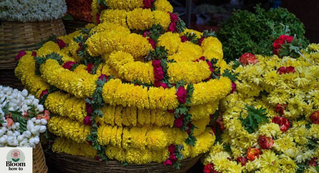 Popular Flowers in Karnataka Festivals & Traditions