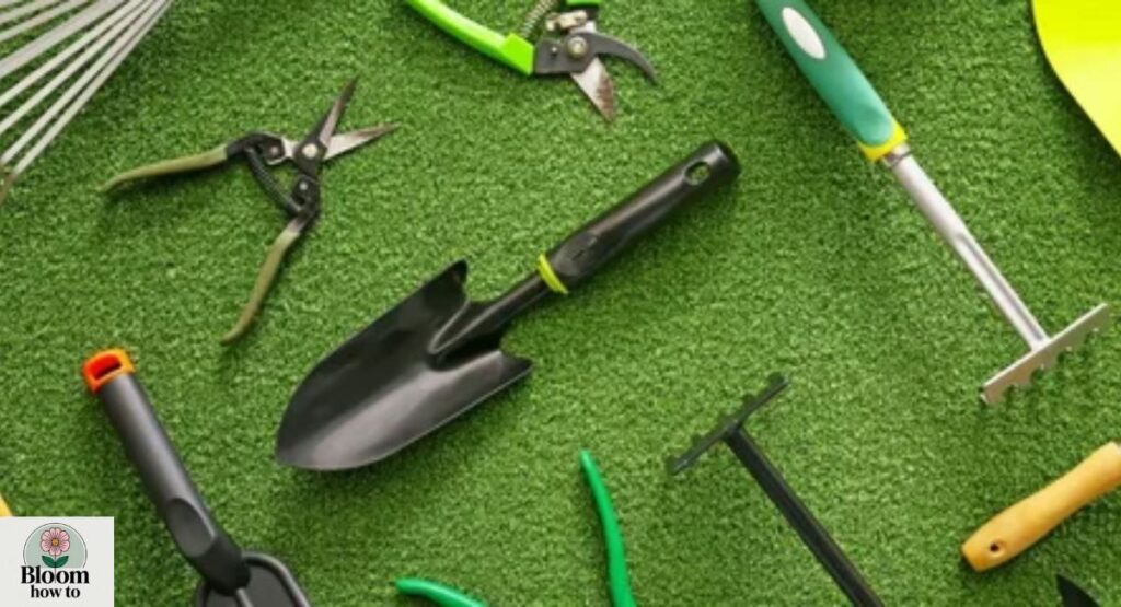 Essential pruning tools  