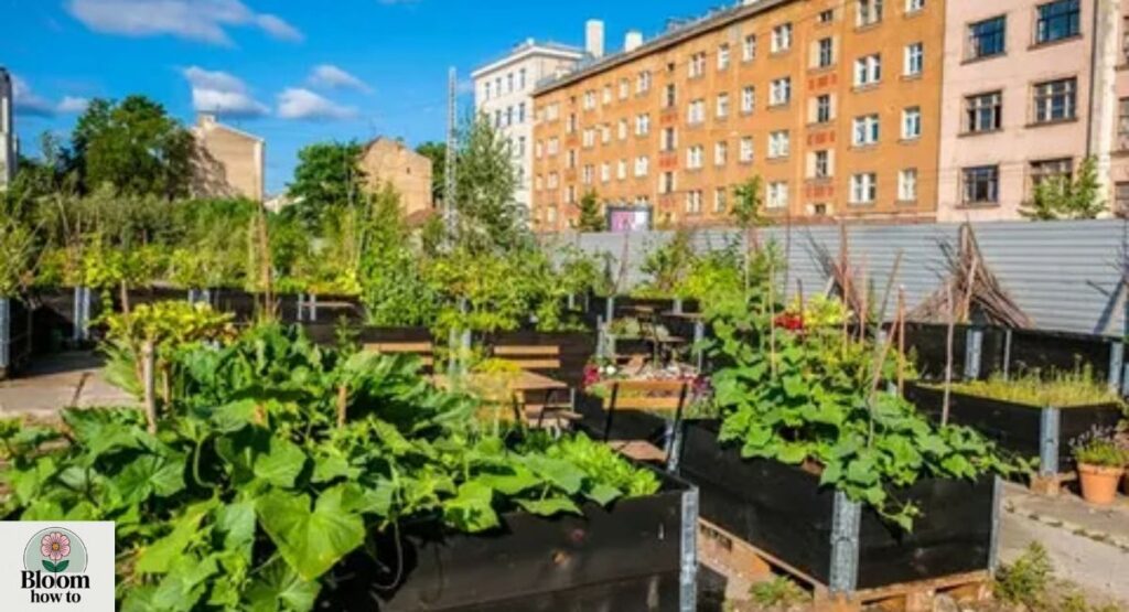 Urban Gardening Trends in Bengaluru & Mysuru 
