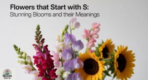 Flowers That Start with S: Stunning Blooms and Their Meanings