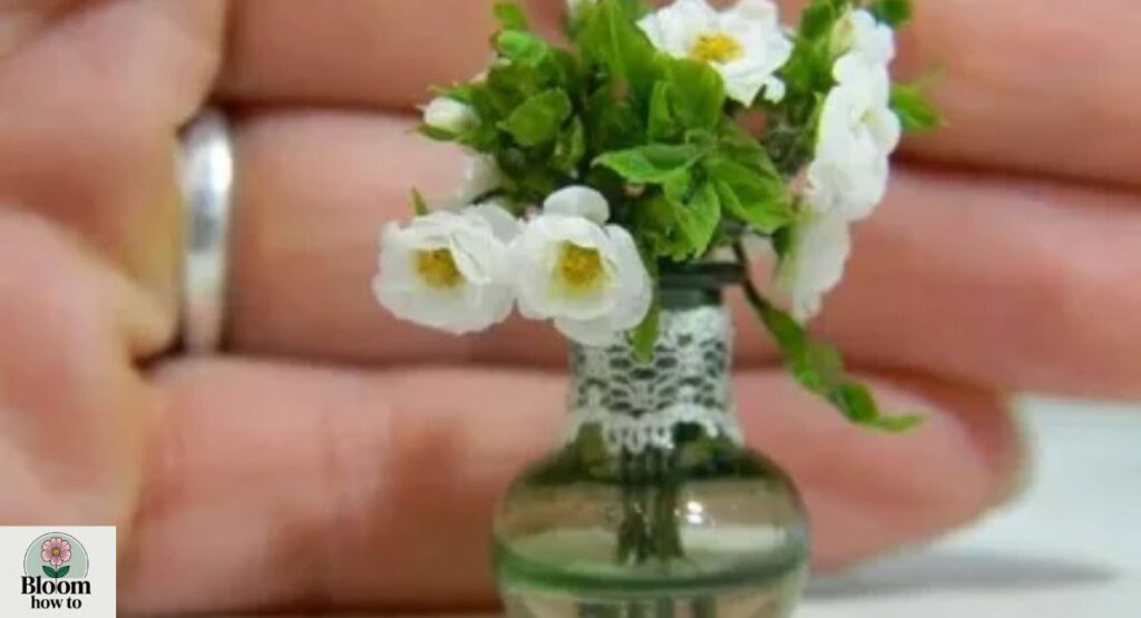 Miniature Roses