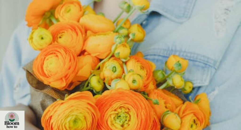 Fragrant Orange Flowers
