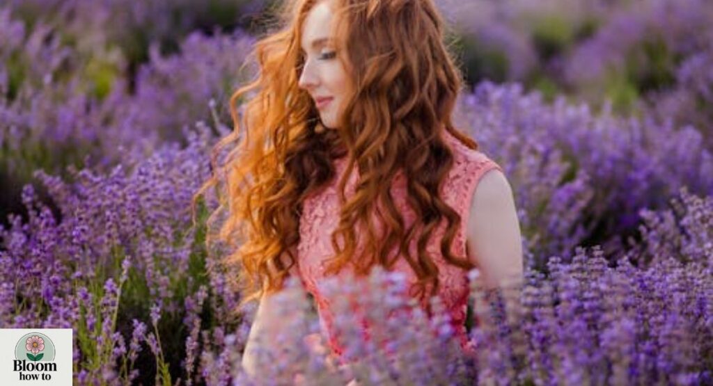 Fragrant Purple Flowers