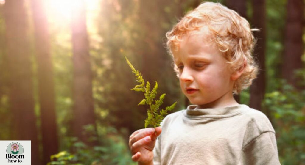Advantages of Nature-Inspired Boy Names