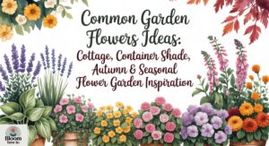 Common Garden Flowers Ideas: Cottage, Container Shade, Autumn & Seasonal Flower Garden Inspiration