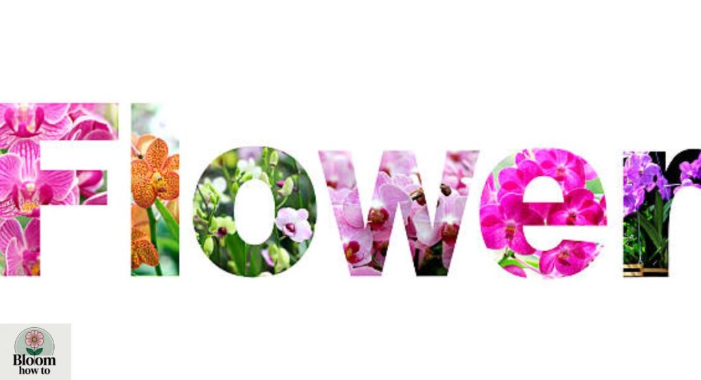 Cultural Significance of Flower Names